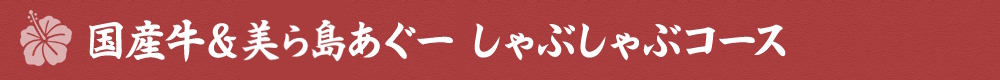 国産牛＆美ら島あぐーしゃぶしゃぶコース