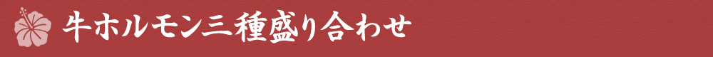 牛ホルモン3種盛り合わせ