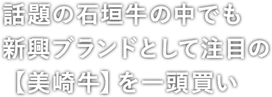 話題の石垣牛の中でも新興ブランドとして注目の【美崎牛】を一頭買い