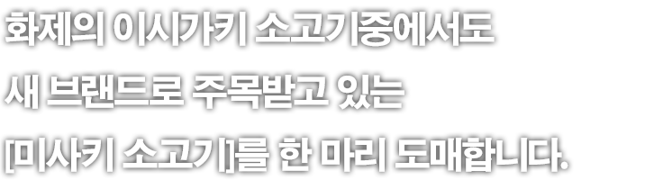 화제의 이시가키 소고기중에서도 새 브랜드로 주목받고 있는 [미사키 소고기]를 한 마리 도매합니다.