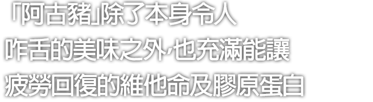 「阿古豬」除了本身令人咋舌的美味之外，也充滿能讓疲勞回復的維他命及膠原蛋白